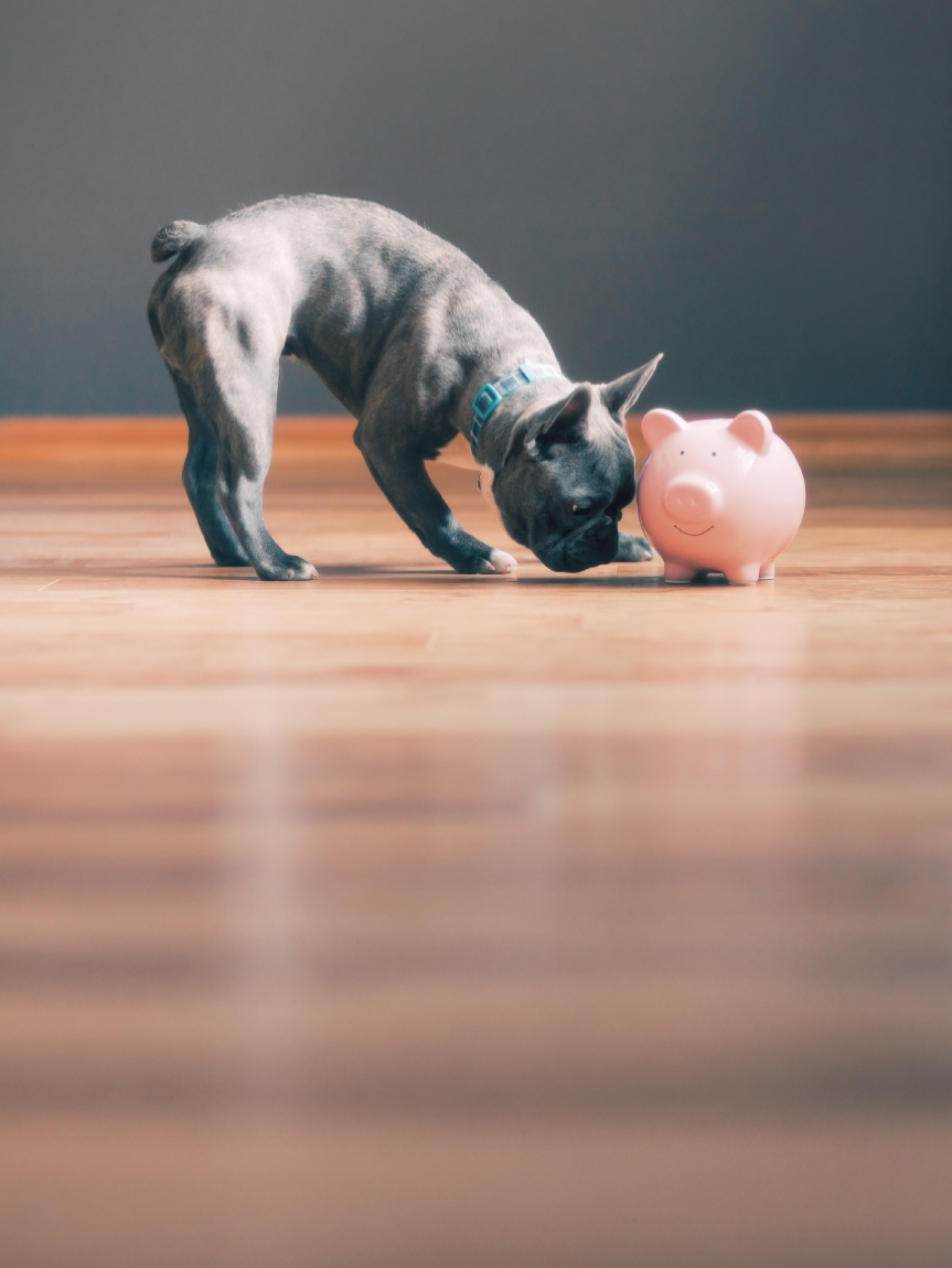 Flooring Canada Abbotsford Showroom Exterior 