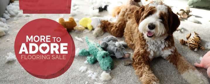 Your Flooring Canada photo 5