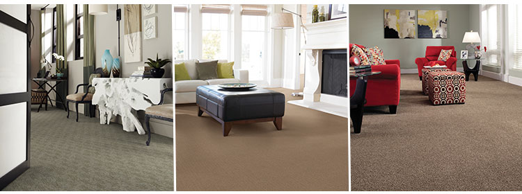 Shaw carpets in living room dining