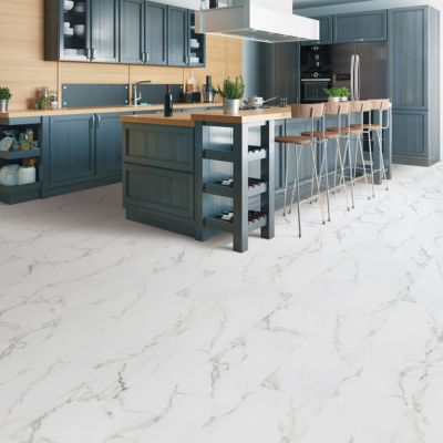 kitchen with LVT floors in Abbotsford, BC