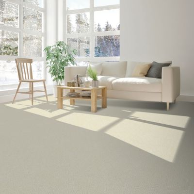 carpet in a minimalist Abbotsford living room
